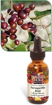 Sarsaparilla Root Liquid Extract